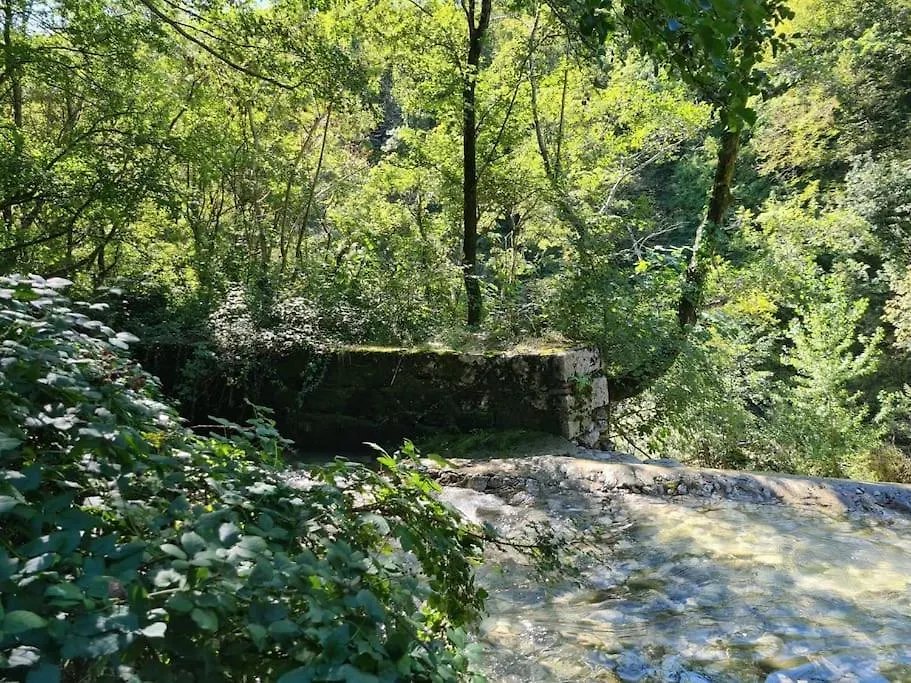Close To City Far From Crowd Apartment Rijeka Croatia